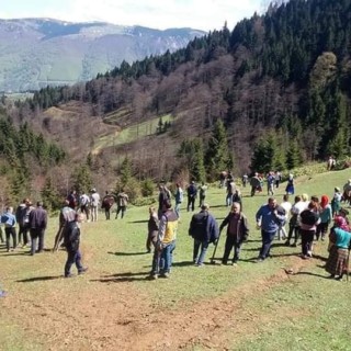 Trabzon Düzköy’de 3 mahalle halkı bir araya gelerek ağaç kesimini durdurdu