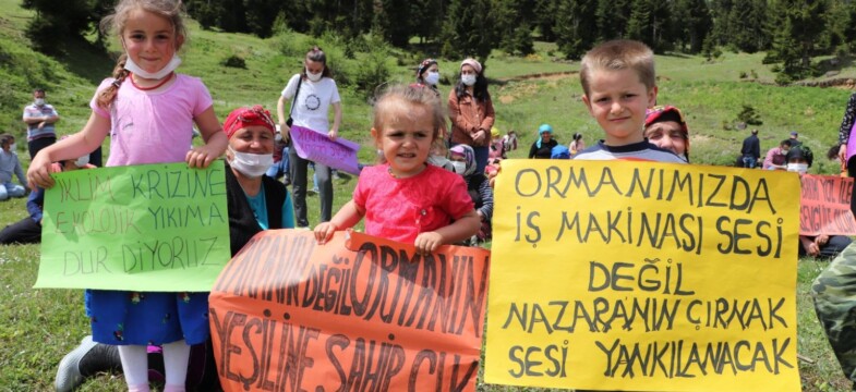Düzköy, Ormanların Kesilmesine ve Ranta Açılmasına Karşı Basın Açıklaması Yaptı