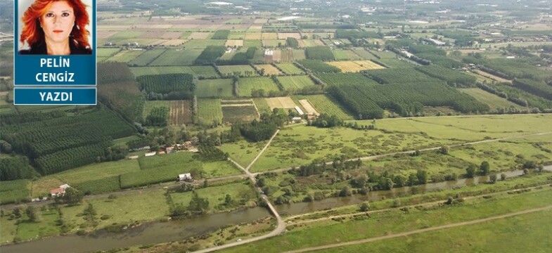Ruhsatı ve imar planı iptal ama inşaatı sürüyor: Çarşamba Ovası’nın kalbine biyokütle hançeri