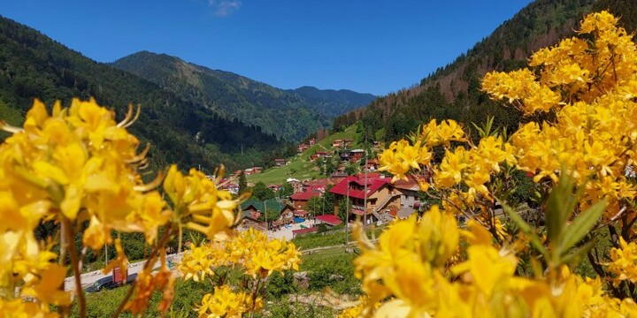 Ayder Yaylası’ndaki rant projesinin detayları belli oldu