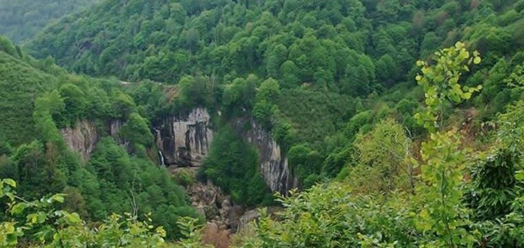 Kurşunçal Ormanına: Hem HES hem maden saldırısı!