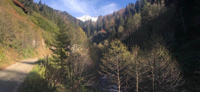 545 nüfuslu Balcı Köyü’ne üçüncü HES: Köyün en önemli gelir kapısı arıcılığın sonu olabilir