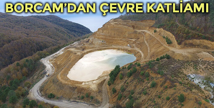 Karadeniz’in akciğeri kesiliyor: Borcam’dan Zonguldak’ta çevre katliamı!