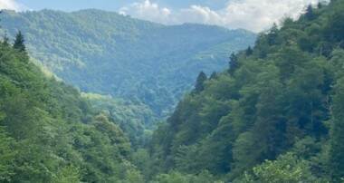 ‘Deli bal’ın vatanı yok edilecek!