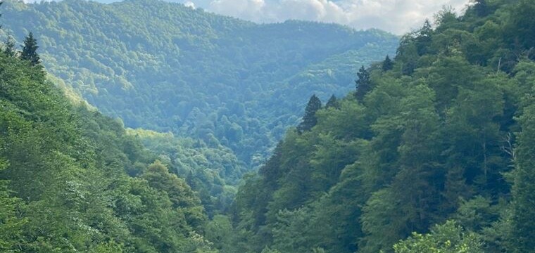 ‘Deli bal’ın vatanı yok edilecek!