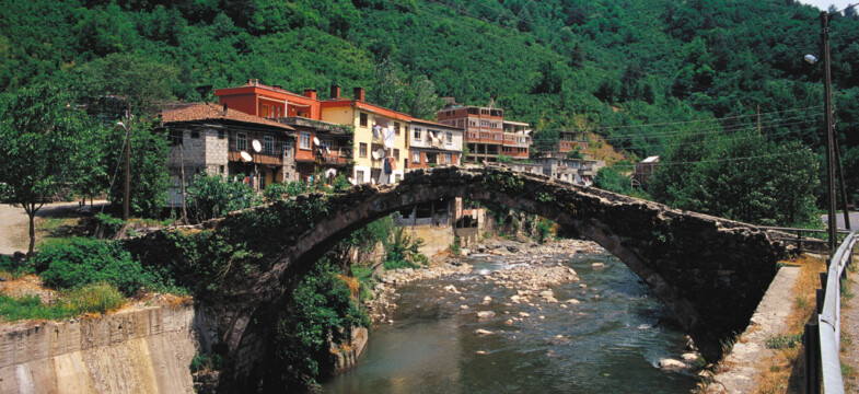 Borçka Demirciler köyü haritadan silinmek isteniyor: Orman işletme 700 kişiye dava açtı