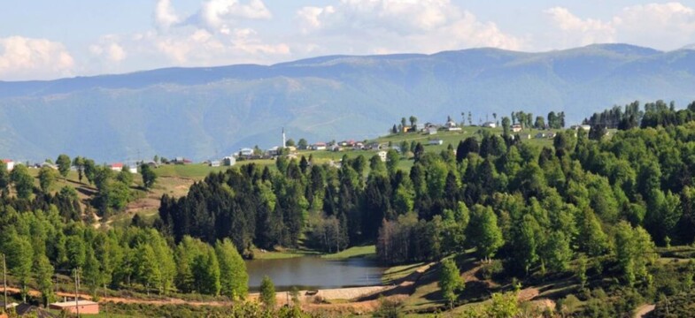 “İzin vermeyeceğiz”  Milletvekili Kaya Hıdırnebi’yi meclise taşıdı