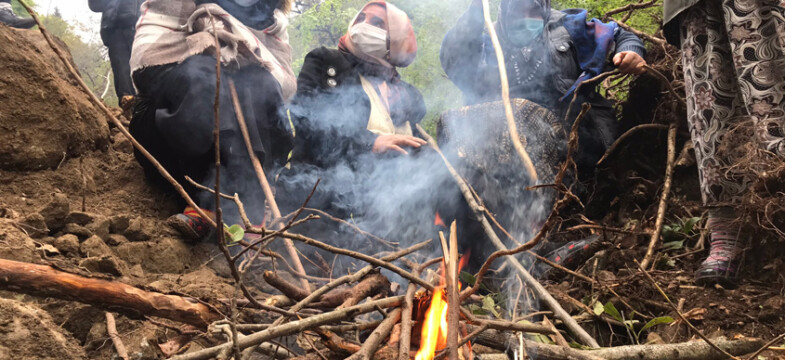 Karar çıktığında doğa kalmayacak
