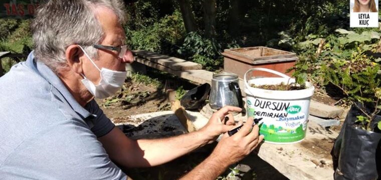 İşkencedere’nin fidanları Cengiz İnşaat’tan kurtarılıyor