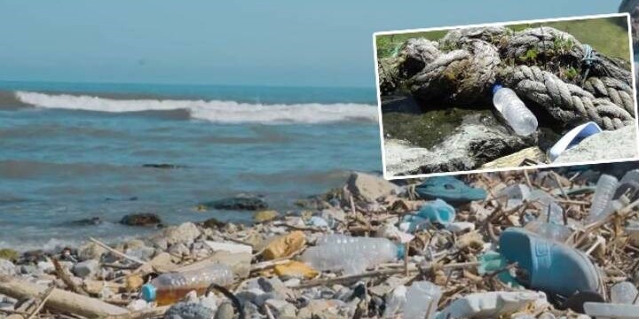 Karadeniz’de kirlilik; 500 metrekarede 2 bin 500 atık çıktı