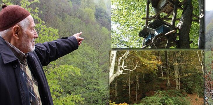 Bal ormanına taş ocağı için bilirkişi raporu çıktı