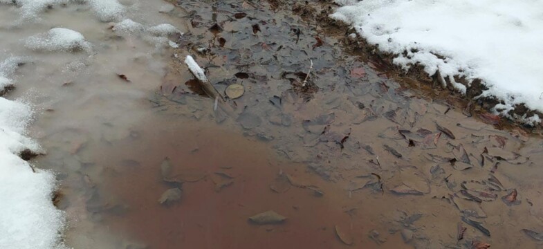 ORÇEV: Su kirliliğinin sebebi çöp tesisinden yaşanan sızıntı mı?