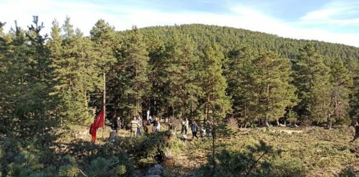 Ayman Yaylası’nda “ÇED gerekli değildir” kararına mahkemeden iptal