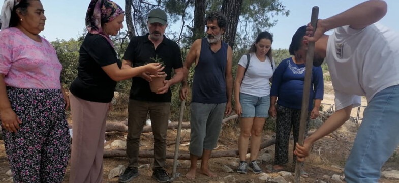 İkizdere’de Cengiz’den kurtarılan fidan Akbelen’de