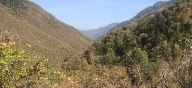 Koza İşletmeleri Araklı Bakır Madeni Projesi