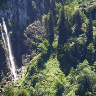 Güneşli Köyü Duyuru