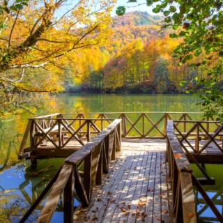 Milli parkları talan yasasının üç maddesi daha Meclis’ten geçti