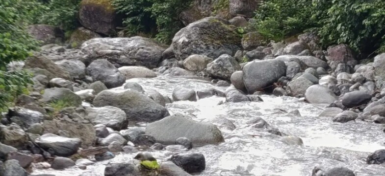 Artvin Pilarget Havzası’nda doğa katliamı: Yüzyıllık kayalar parçalanıyor