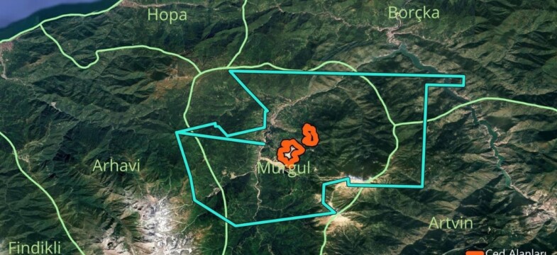Yurttaşı değil Cengiz’i dinledi